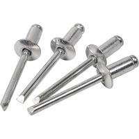 Заклепки комбинированные 4,0х 6 мм алюминий-сталь 2 Бригадира (20 шт.)