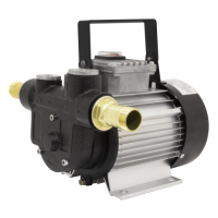 Насос перекачки топлива АРЕС БелАК БАК.11060